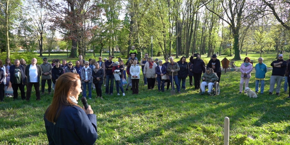 Tiszafát ültettek a TISZA szigetek