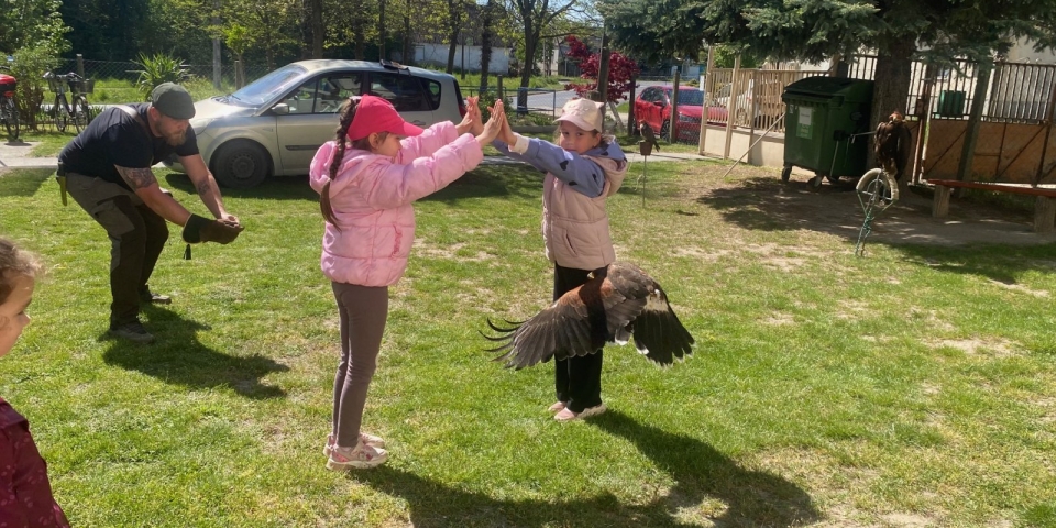 A természet varázsa testközelből — ragadozó madarak az óvodában