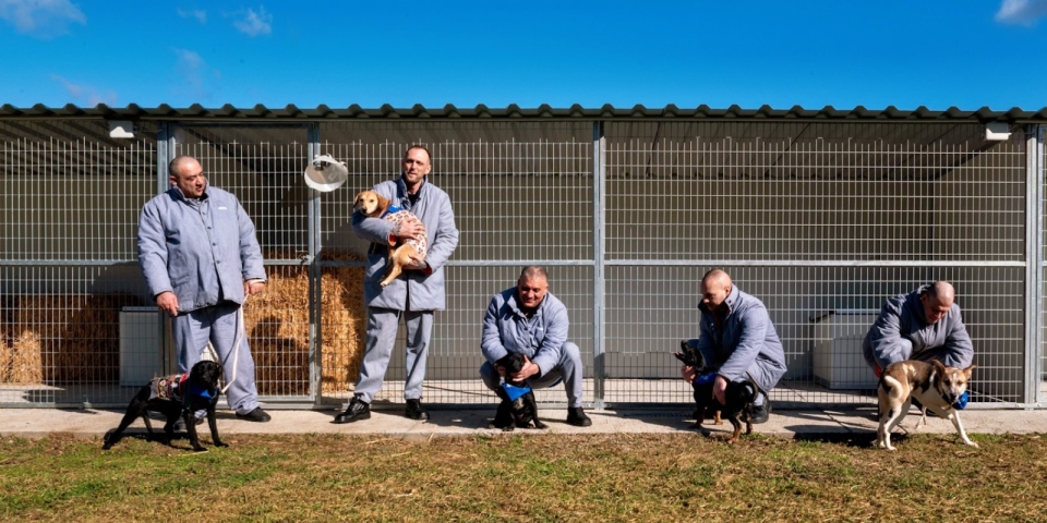 Második esély a rácsok mögött - Mentett kutyák a büntetés-végrehajtásnál