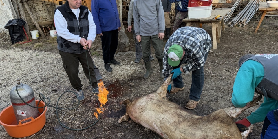 Hagyományos módon  közösségben