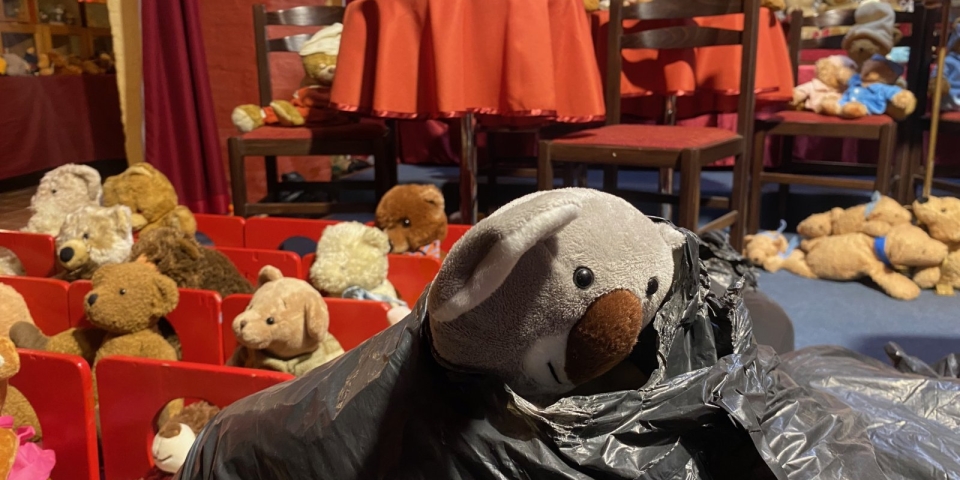 Mackókiállítás - belestünk a kulisszák mögé