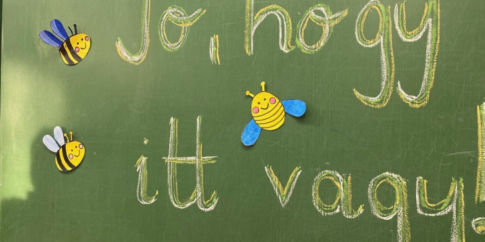 Természettudományok, angol, dráma