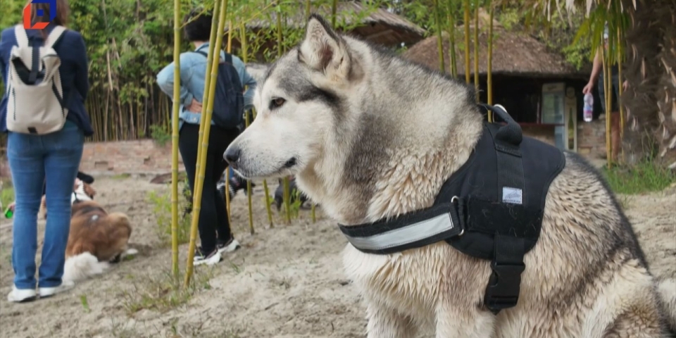 Híradó 2025.09.17.