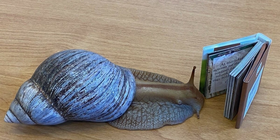 A csigatempó most kevés lesz