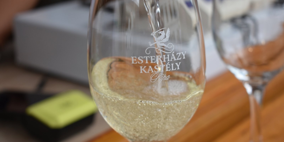 Cicege, zene és közösségépítés a pápai borfesztiválon