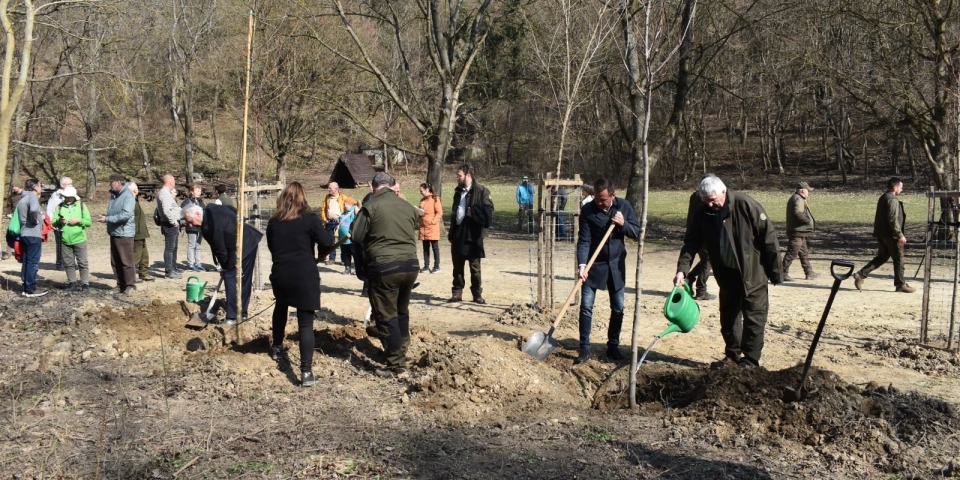 Új szemléletű erdőkezelés a Bakonyerdőnél