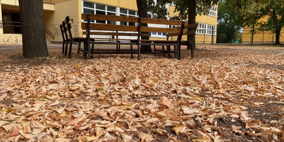 Felkészültek az iskolakezdésre