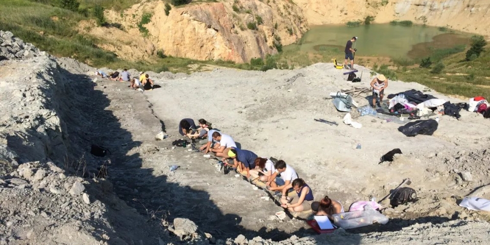 Mikor vadászott szárazföldi krokodil a Bakonyban?