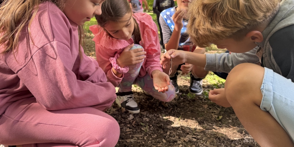 Fenntarthatósági séta a Várkertben