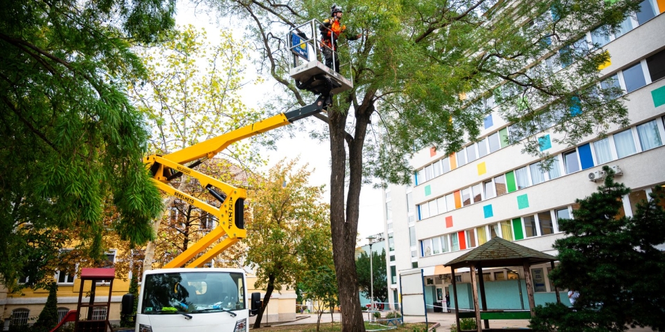 Pápáról érkezett segítség a Heim Pál Gyermekkórházhoz