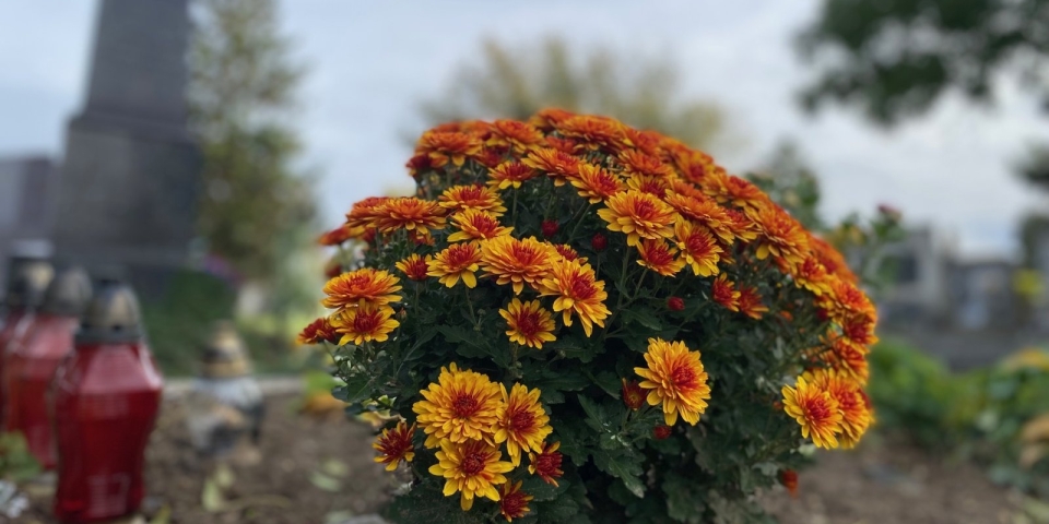 Emlékezzünk biztonságban!