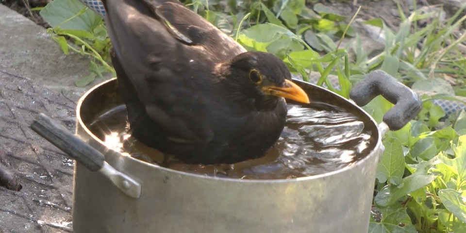 Híradó 2025.07.24.