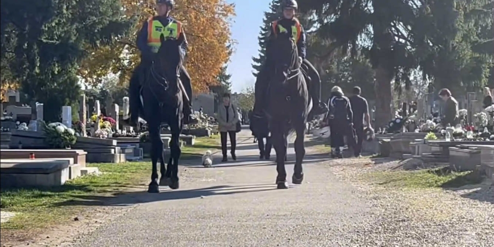 Lovas járőrök az Alsóvárosi temetőben