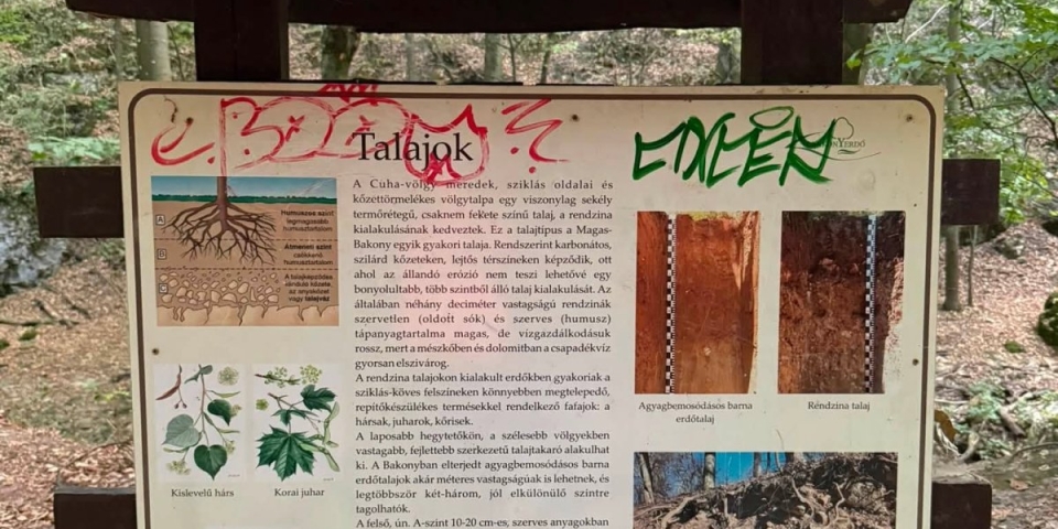 Nem kívánt nyomok a Cuha-patak völgyében