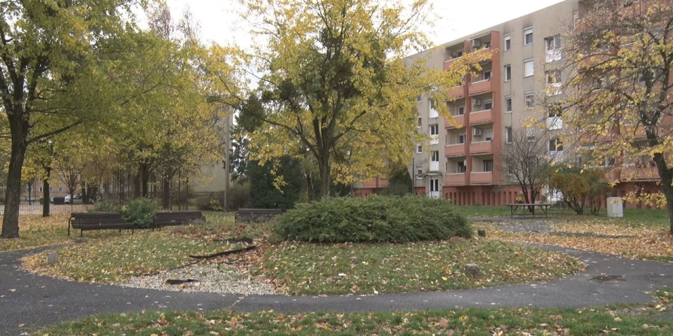 Híradó 2025.11.04.