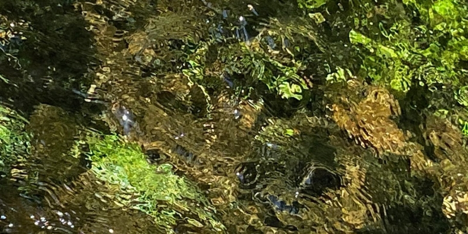 Pályázatot hirdet a Pápai Vízmű Zrt. 