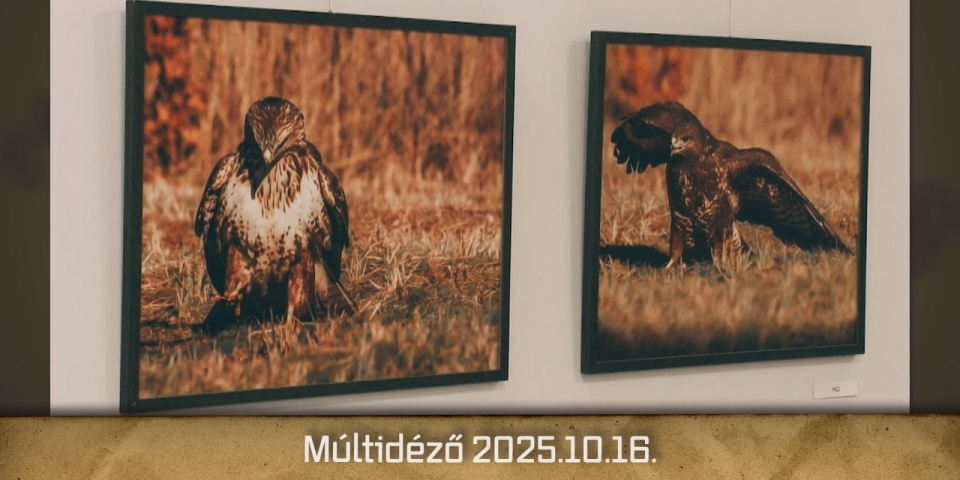 Múltidéző 2025.10.16.