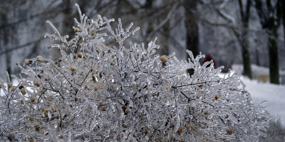 Ónos eső miatt riasztás a Pápai járásban