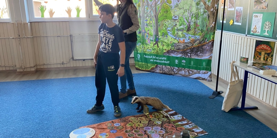 Az erdő és a talaj titkai 