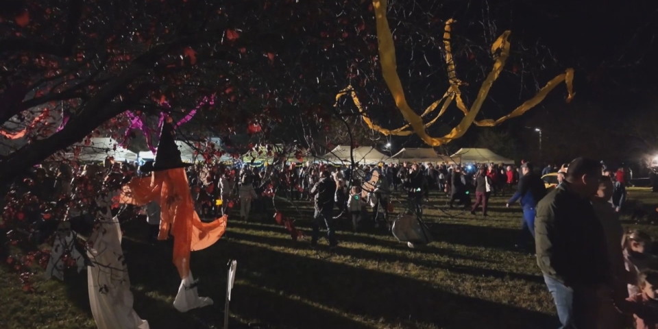 Híradó 2025.11.03.