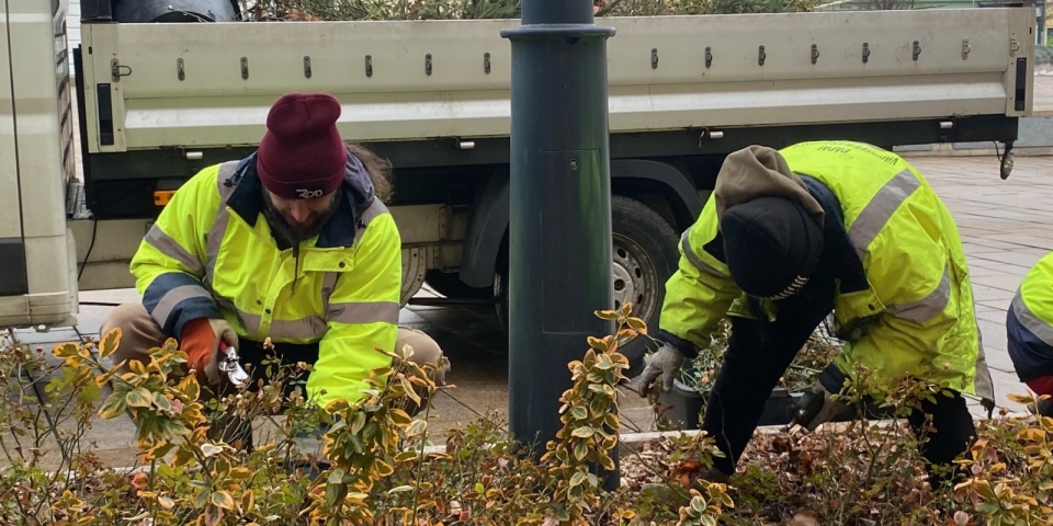 Mit csinál télen a kertész?