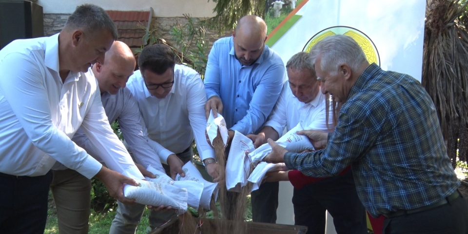 Pápateszéren tartották a Magyarok Kenyere  15 millió búzaszem program vármegyei búzagyűjtő napját