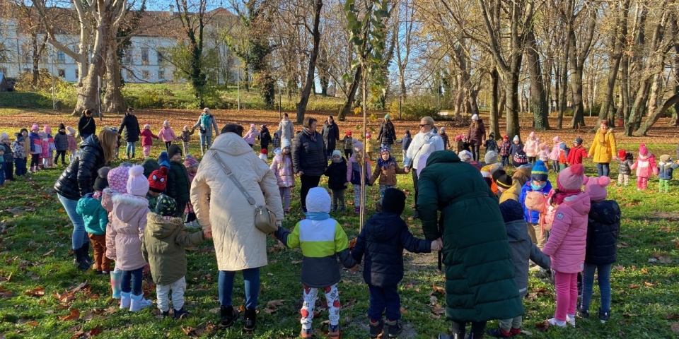 Hársfát ültettek az óvodások a Várkertben