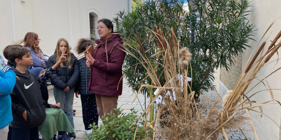 Bibliai növények az őszi udvarban - várják az iskolai csoportokat