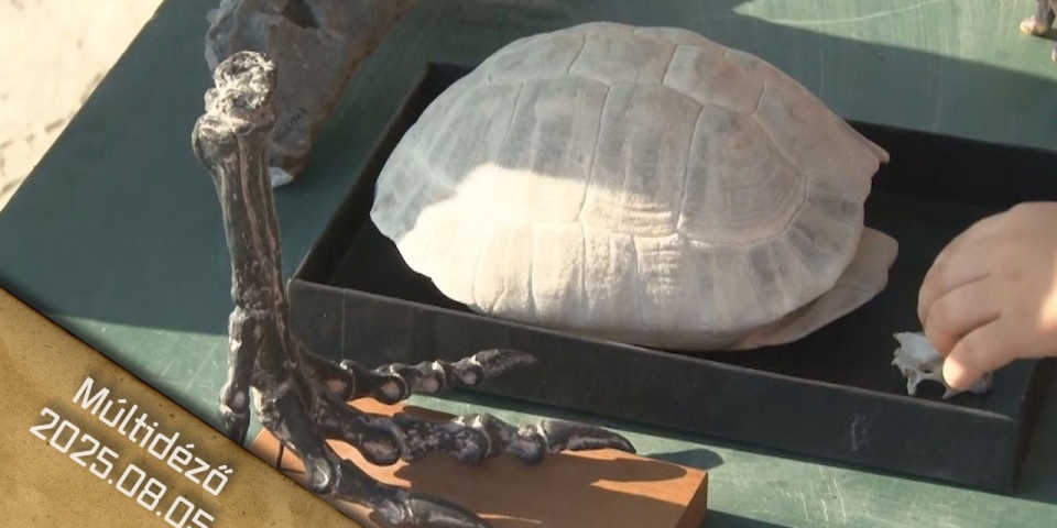 Múltidéző 2025.08.05.