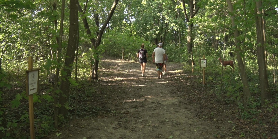 Híradó 2025.09.24.