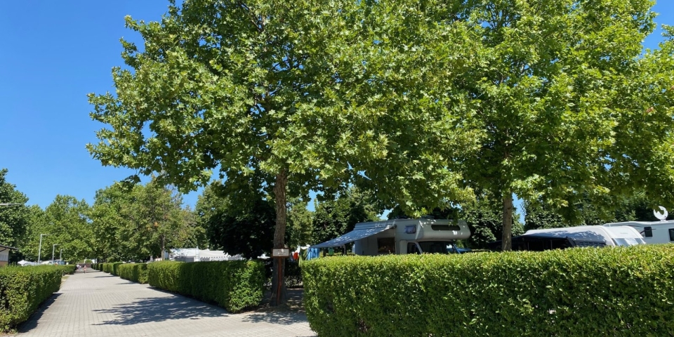 Nemzetközi elismerést kapott a Várkert Termál Camping