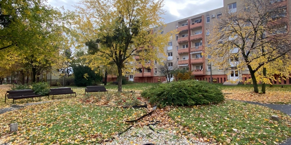 Közösségi kertészkedés a lakótelepen  új zöldfelületet alakítanak ki a lakók bevonásával