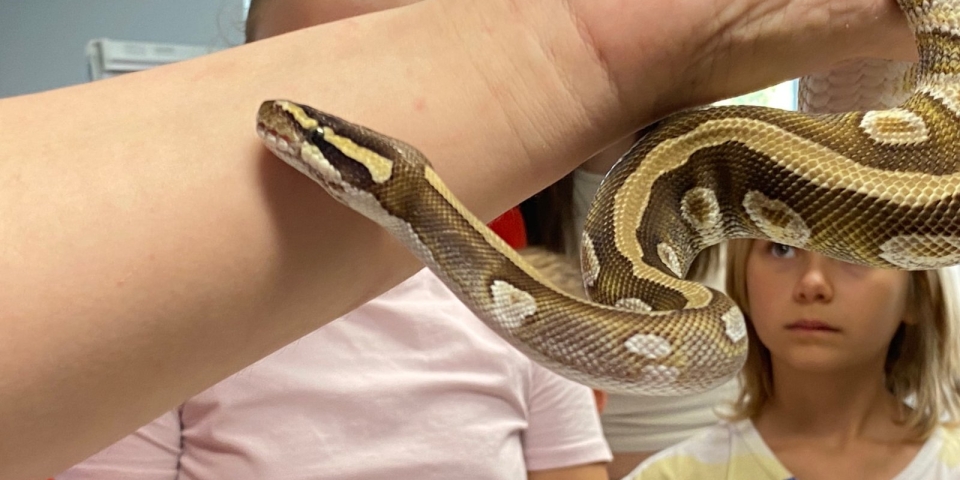 Varázslatos hangulat a könyvtárban