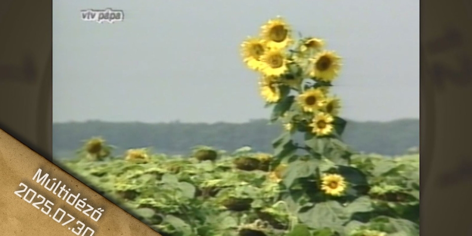 Múltidéző 2025.07.30.