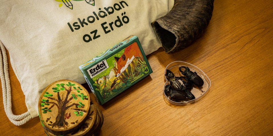 Kupac kupacs és kukacos gubacs - Indul a regisztráció a 2026-os Iskolában az Erdő Programra
