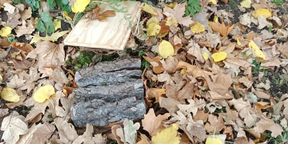 Manófalucska az Erzsébet ligetben  és ami utána történt