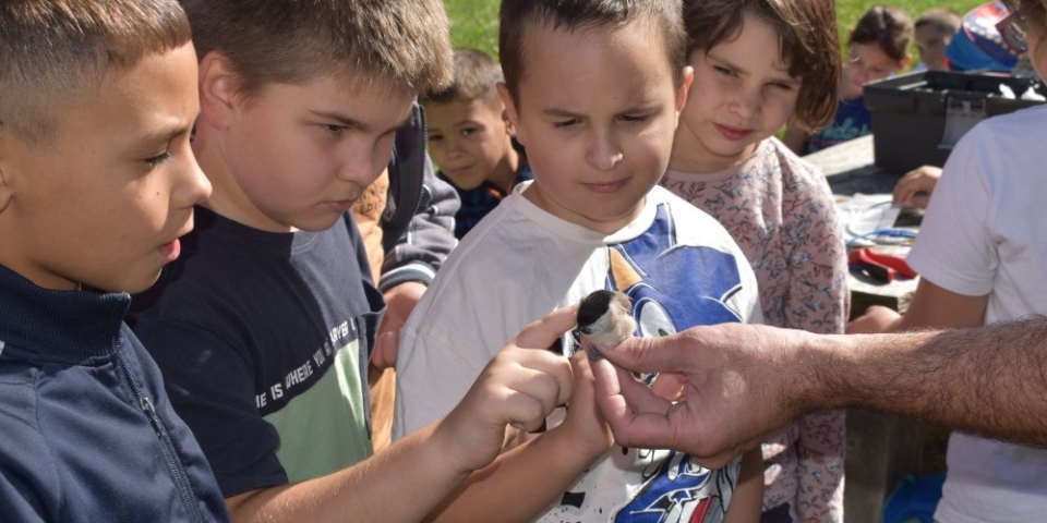 Erdei Iránytű Program - száz kisdiák a Bakonyban