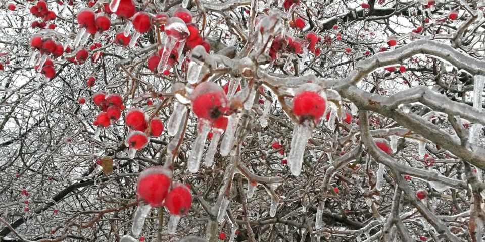 Veszélyes időjárás - Ónos eső miatt riasztás a Pápai járásban!