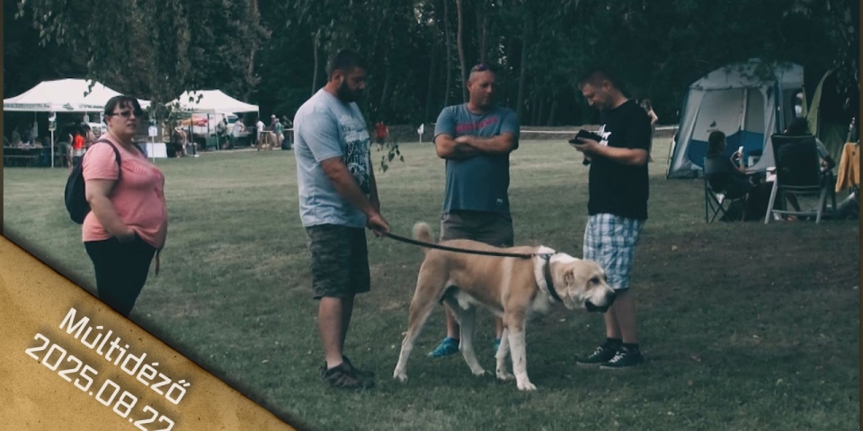 Múltidéző 2025.08.22.