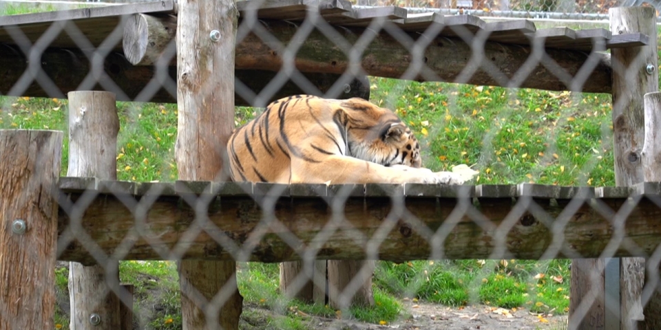 Híradó 2025.10.28.