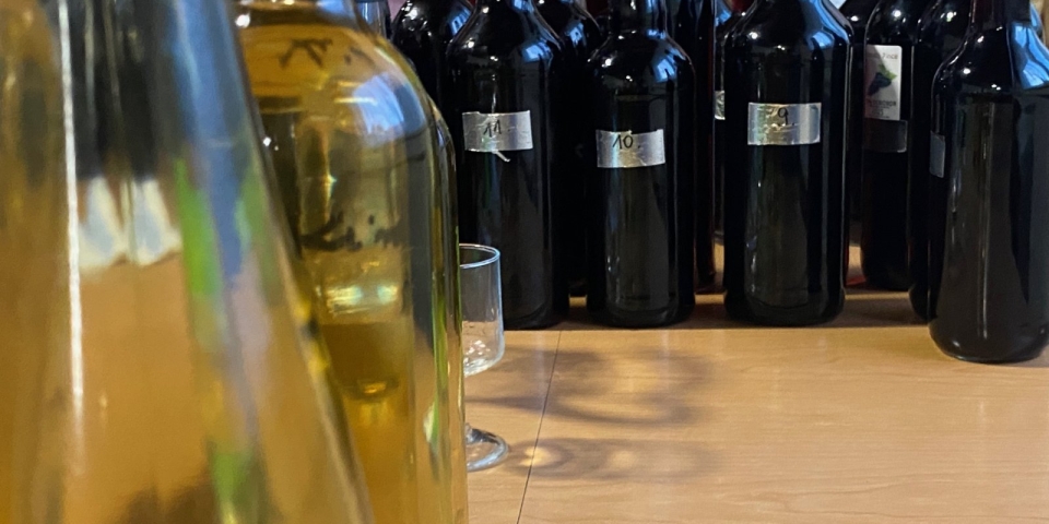 Olaszrizling lett Tapolcafő bora