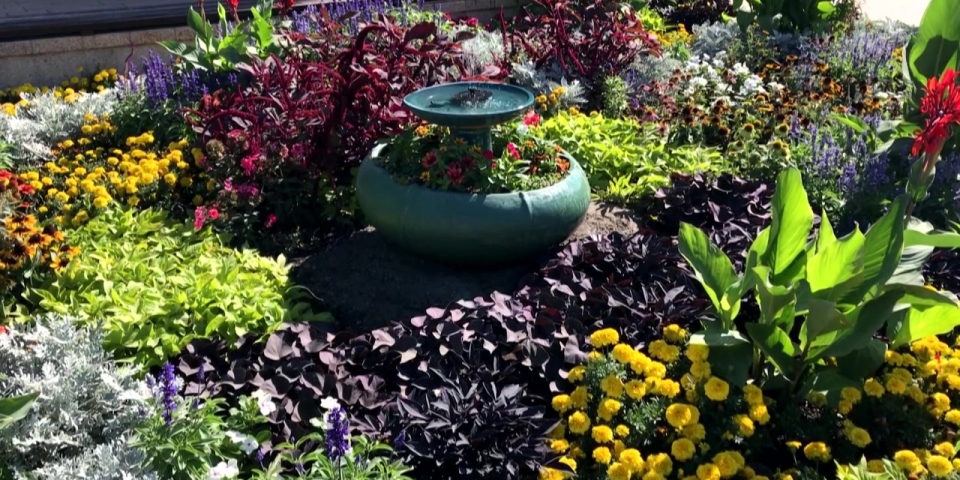 Híradó 2025.08.06.