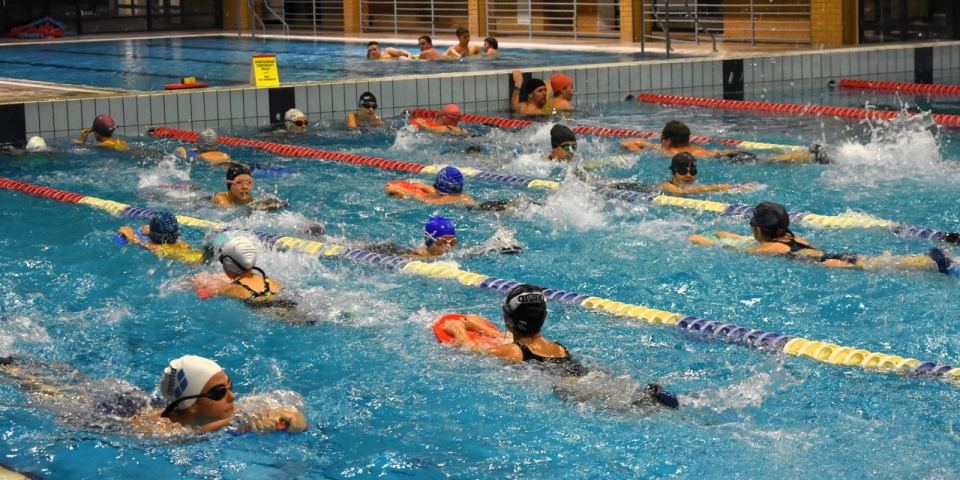 Mérföldkőhöz érkezett a Pápai Úszó SE