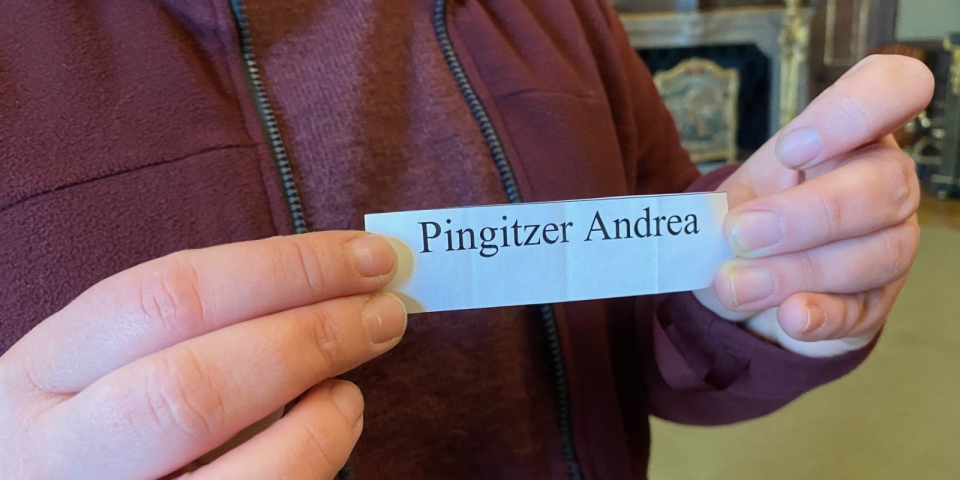 Pingitzer Andrea a nyertes