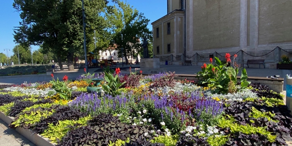 Évelők és egynyáriak együtt: virágpompából nincs hiány