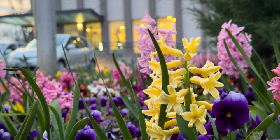 Napéjegyenlőség - végre itt van a tavasz