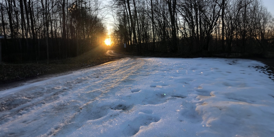 Hidegrekord dőlt a Bakonyban: mínusz 14,4 fokot mértek Bándon