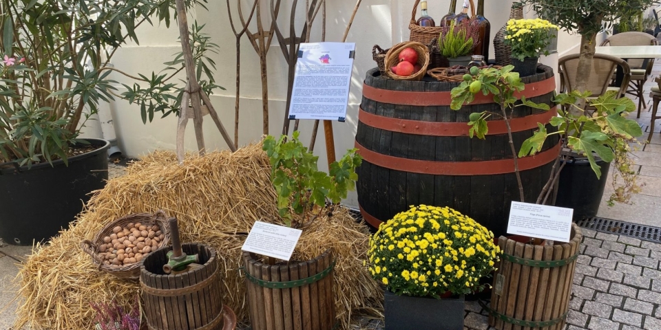 A remény zarándokai  különleges sétával és bibliai növények bemutatásával nyílik az Ars Sacra Fesztivál Pápán