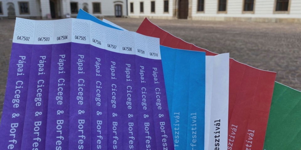 Belépődíjas lesz a Borfesztivál