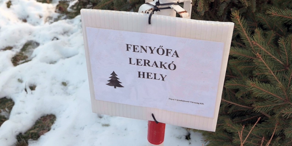 Még egy hétig gyűjtik szervezetten a karácsonyfákat 